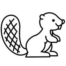 Beaver - Free printable coloring pages