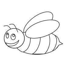 Bee - Free printable coloring pages