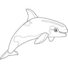 Beluga swimming with a friendly smile coloring page