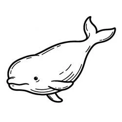 Beluga swimming gently coloring page