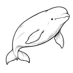 Beluga swimming with fin raised coloring page