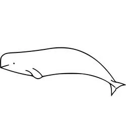 Beluga swimming peacefully coloring page
