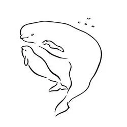 Beluga mother and baby swimming together coloring page