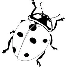 Ladybug with spotted wings coloring page