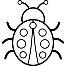 Bettle with round spots on its back coloring page