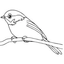 Little bird perched on a branch coloring page