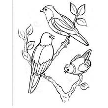 Three birds perched on branches coloring page