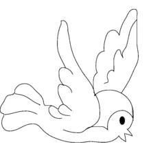 Bird flying with open wings coloring page