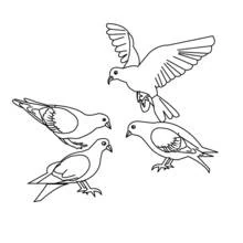 Group of pigeons gathering on the ground coloring page