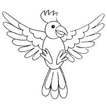 Cockatoo with wings spread wide coloring page