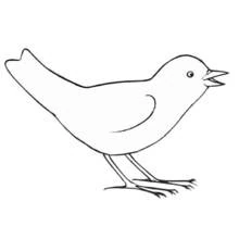 Bird singing with open beak coloring page
