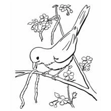 Bird perched on a flowering branch coloring page