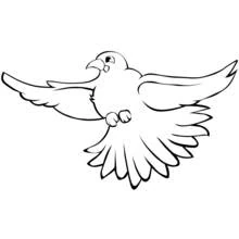 Bird flying with wings spread wide coloring page