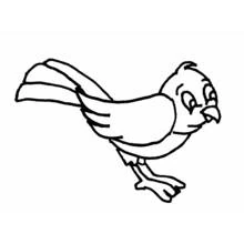 Cartoon bird with a long tail coloring page