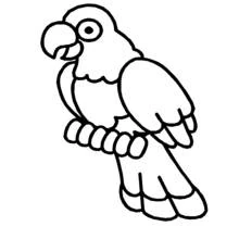 Parrot perched on a branch coloring page