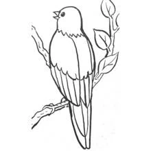 Small bird singing on a branch coloring page
