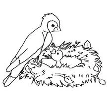 Bird perched by nest with baby chick coloring page