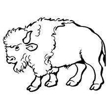 Bison (Buffalo) - Free printable coloring pages