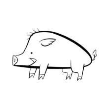 Boar - Free printable coloring pages