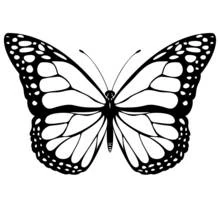 Butterfly with symmetrical patterned wings coloring page