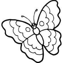 Butterfly with open wings coloring page