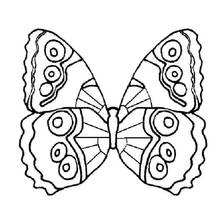 Butterfly with symmetrical eye-spot wings coloring page