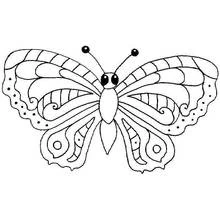 Butterfly with symmetrical patterned wings coloring page