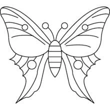Butterfly with symmetrical wings coloring page