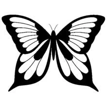 Butterfly with symmetrical wings coloring page