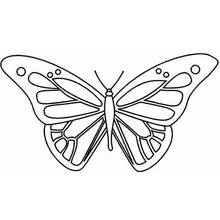 Butterfly with symmetrical wings coloring page