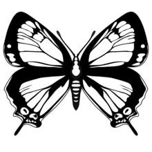 Butterfly with symmetrical wings coloring page