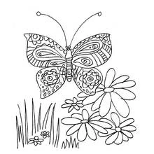 Butterfly with patterned wings over daisies coloring page