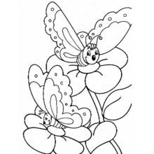 Two butterflies resting on flowers coloring page