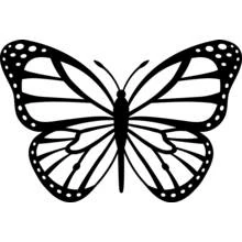 Monarch butterfly with open wings coloring page