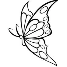 Butterfly with spread wings and rounded spots coloring page