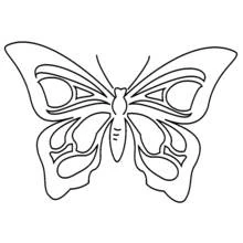 Butterfly with symmetrical wing patterns coloring page