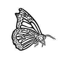 Butterfly with detailed wing patterns coloring page