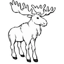 Caribou - Free printable coloring pages