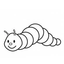 Caterpillar - Free printable coloring pages