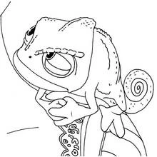 Pascal the Chameleon perched on a branch coloring page
