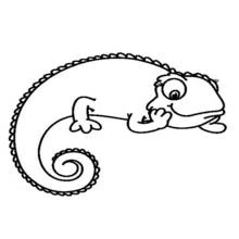 Chameleon with a curled tail coloring page