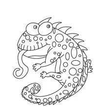 Chameleon with curled tail sticking out its tongue coloring page