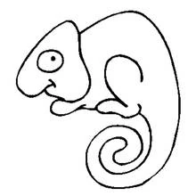 Chameleon with a curled tail coloring page