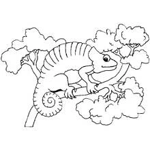 Chameleon resting on a branch coloring page