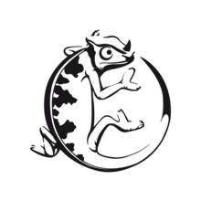 Chameleon curled into a circle shape coloring page