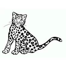 Cheetah sitting and looking to the side coloring page
