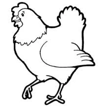 Chicken - Free printable coloring pages