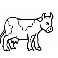 Cow standing with spotted markings coloring page