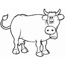 Cow standing with curly horns coloring page