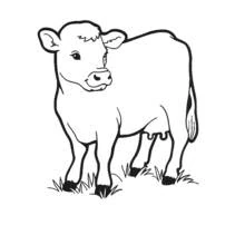 Cow standing in the grass coloring page